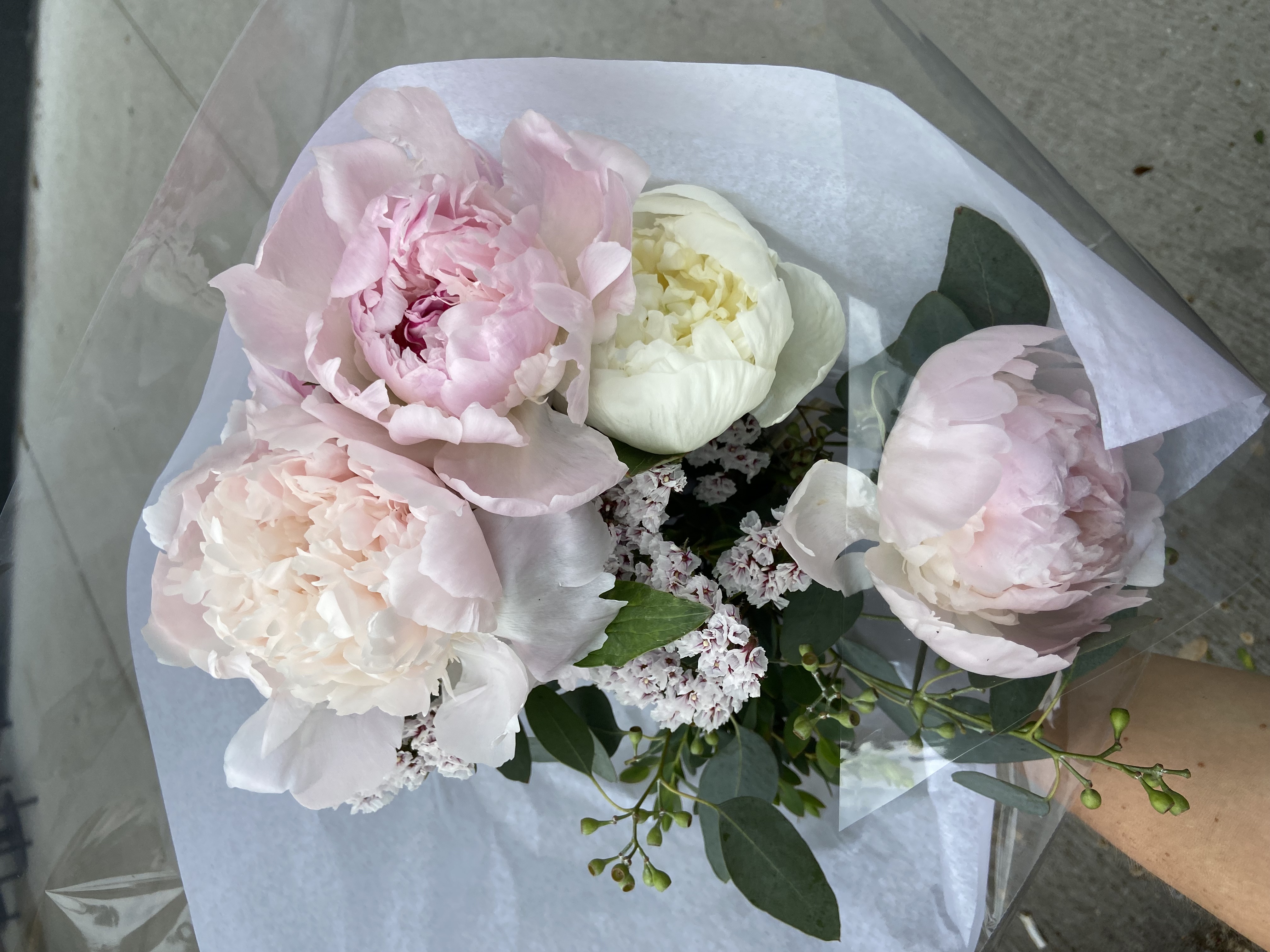 Peonies from the farmers market